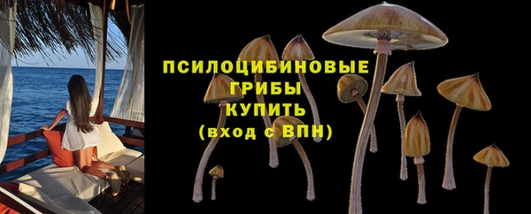 марки nbome Аркадак