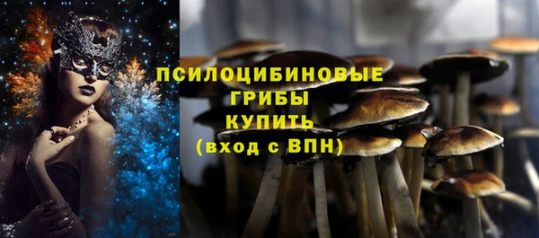 гидра Армянск
