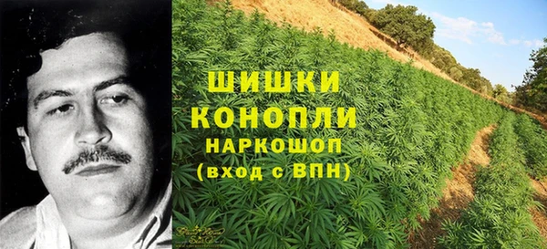 гидра Армянск