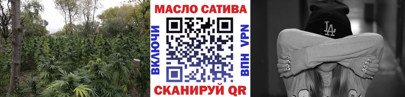 Купить где  Балашов  Дистиллят ТГК гашишное масло 