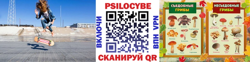 Галлюциногенные грибы мухоморы  Купить  Балашов 