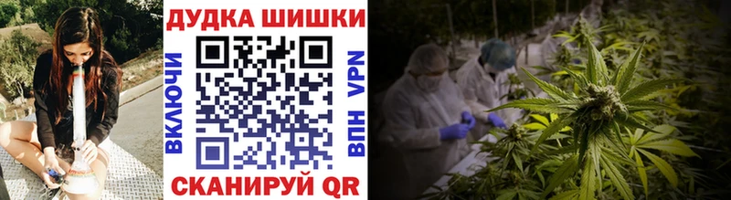 Канабис ГИДРОПОН  Купить закладки  Балашов 